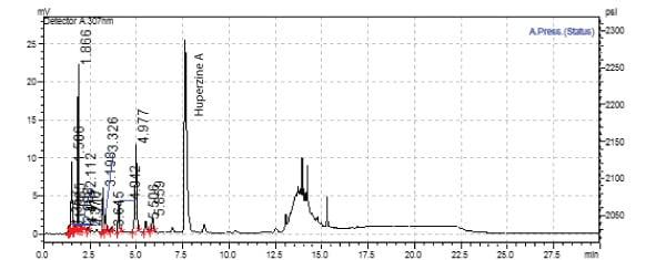 fv-ext-graph-1