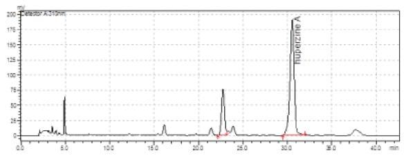 fv-ext-graph-2