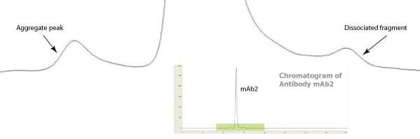 fv-nano-graph-2