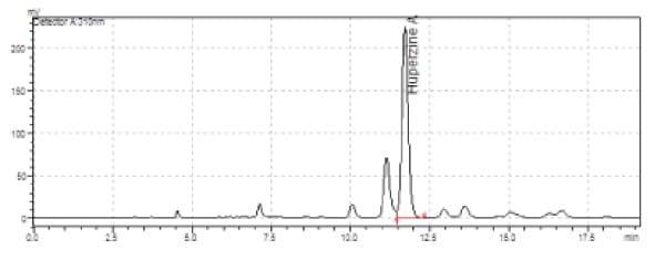 fv-ext-graph-4