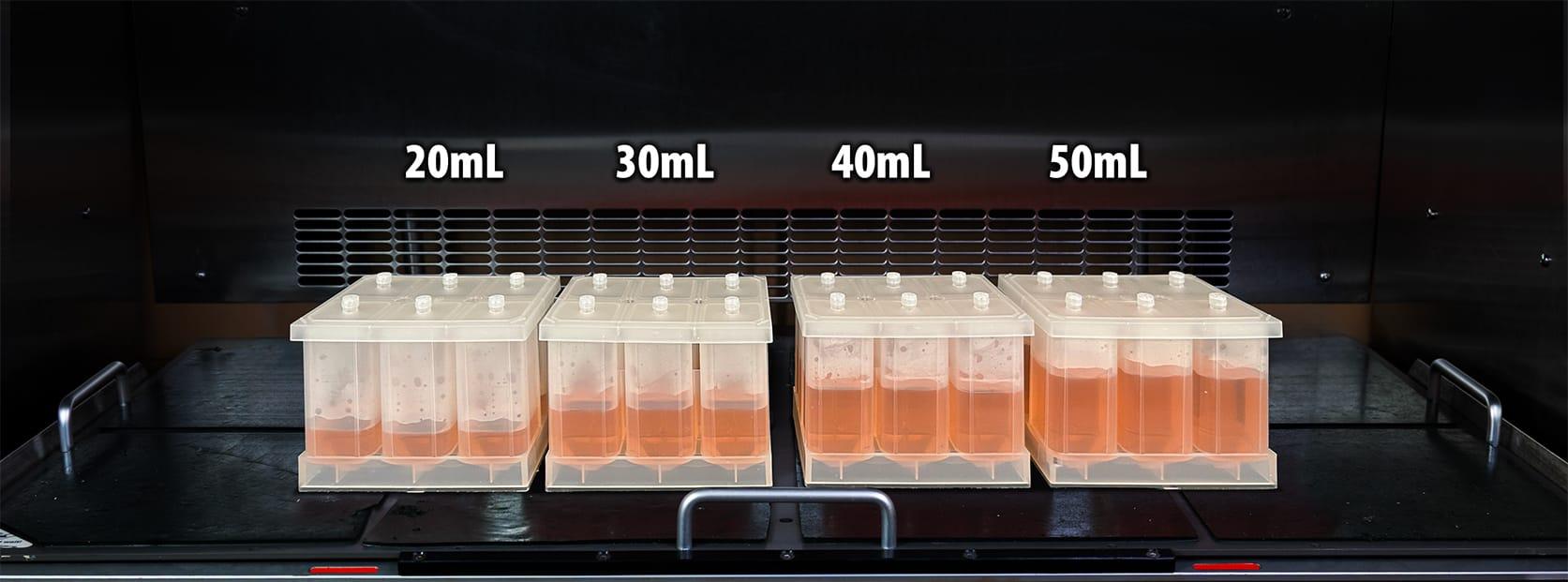 6-well_fill_lineup