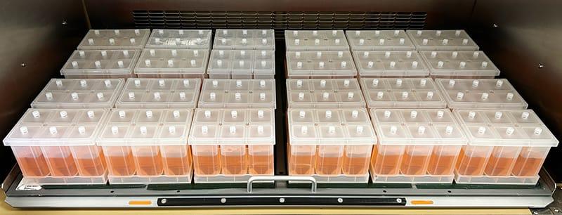 6-well_infors_full_rack
