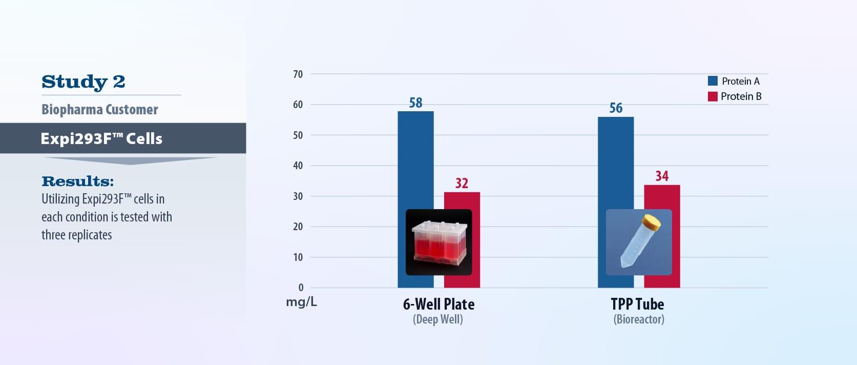 6-well_study2