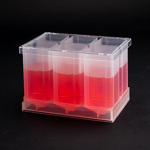 6-Well Plate | 82mL