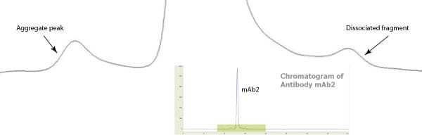 fv-nano-graph-2