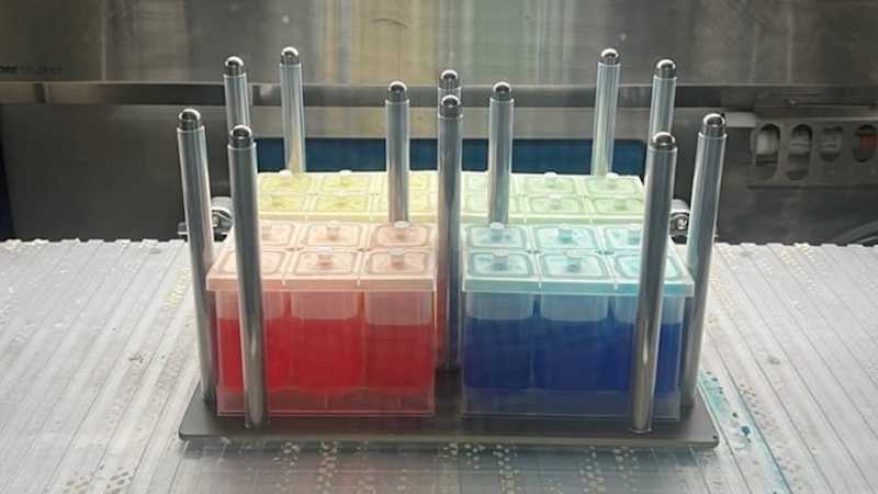 6-well-pegs