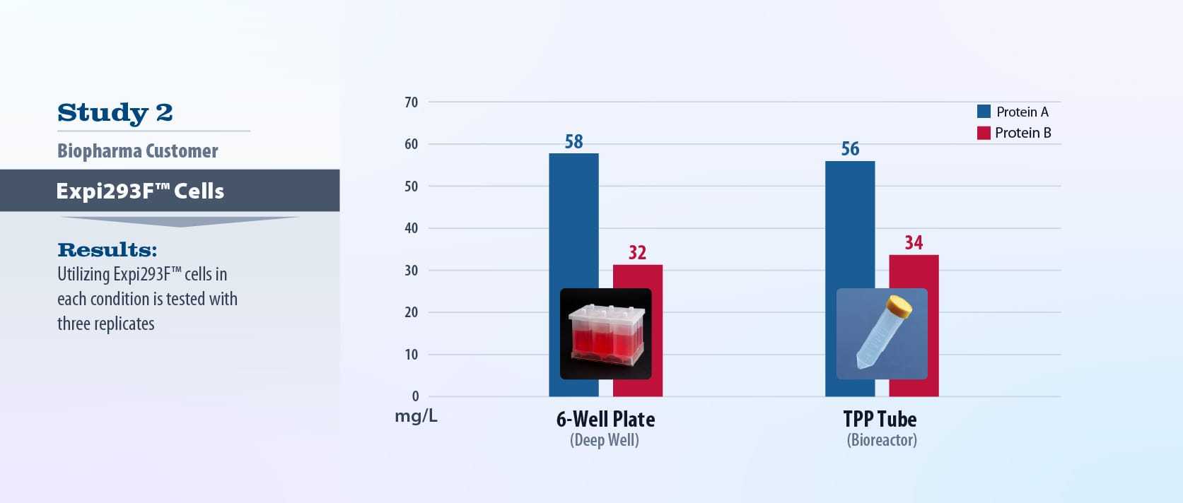 6-well_study2