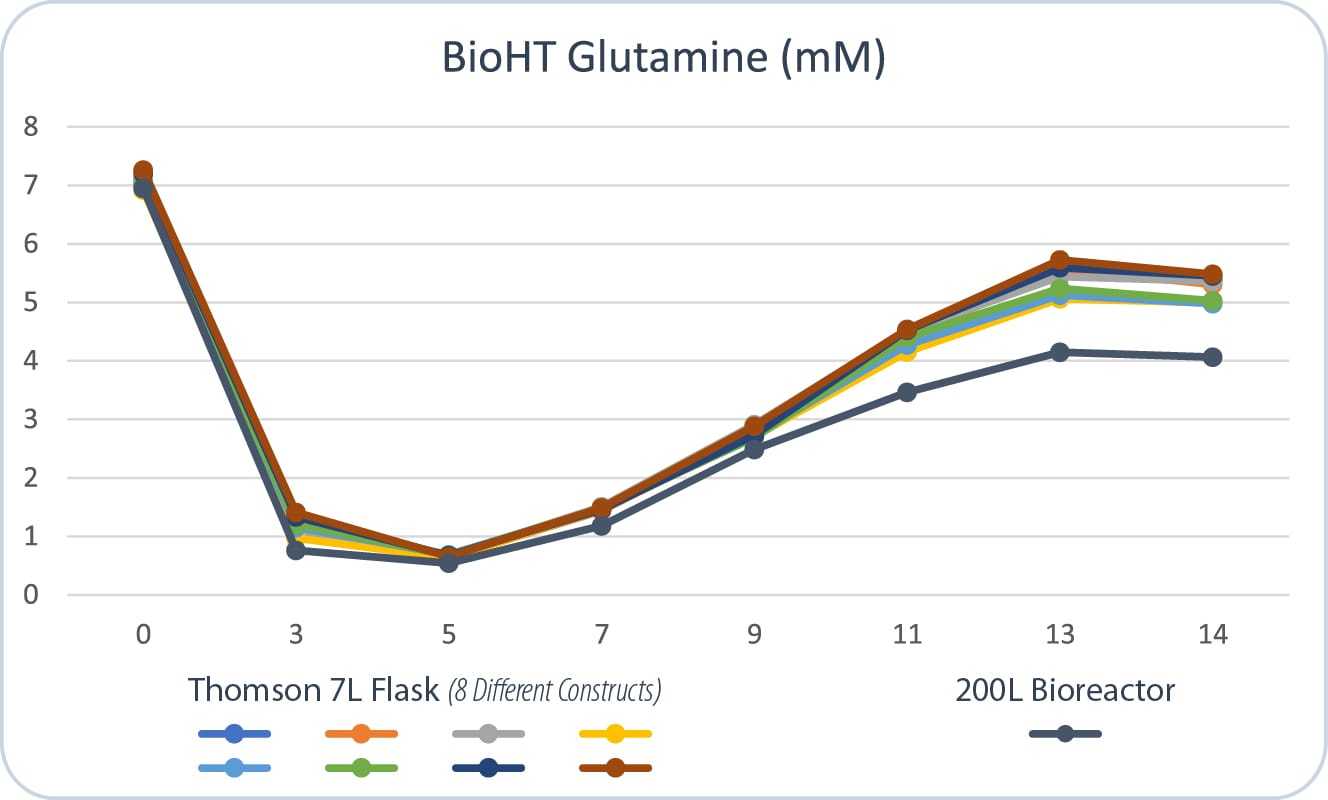 og-seven-lundbeck-06