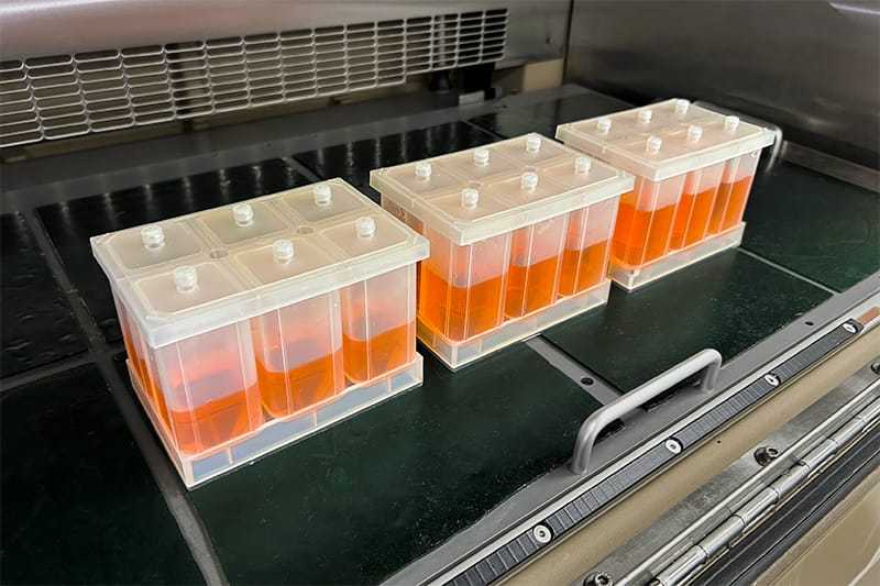 6-well_three_with_a_lid