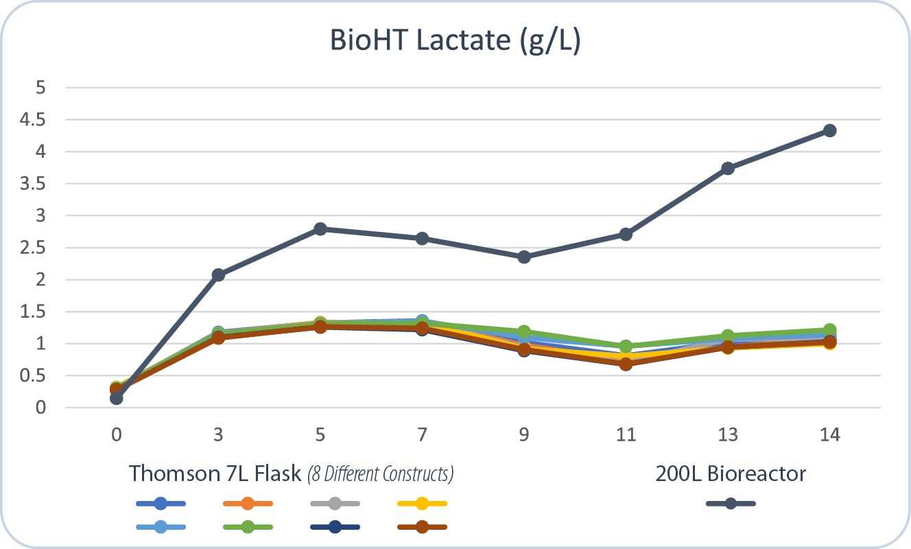 og-seven-lundbeck-05