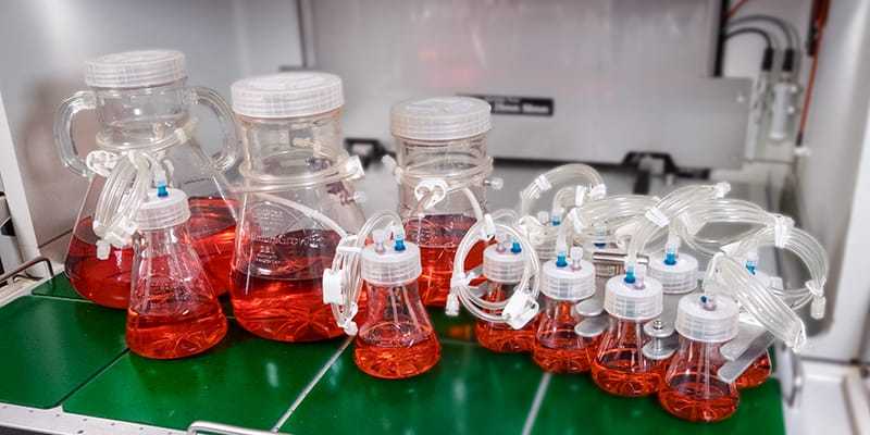 og-special-trt-action