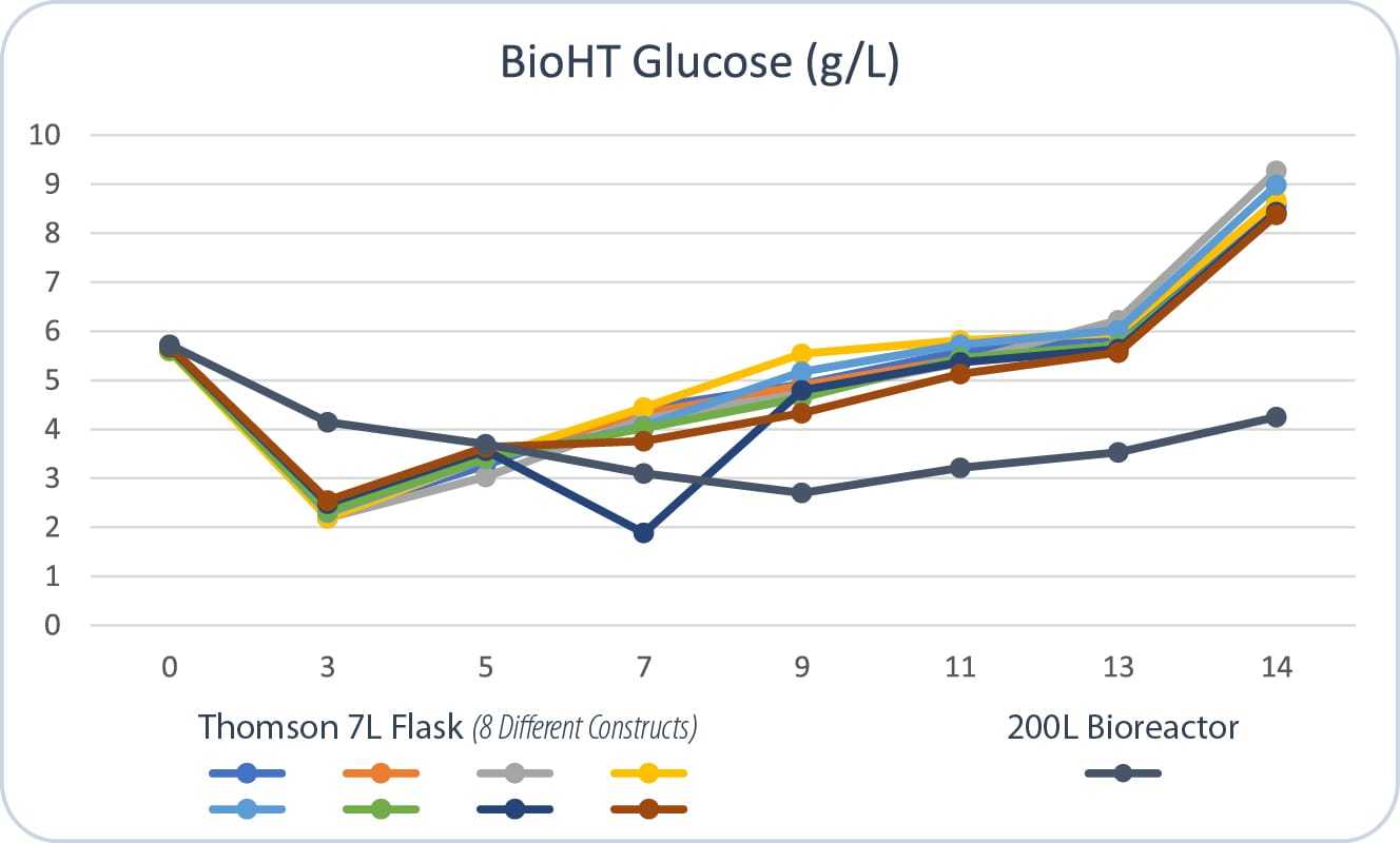 og-seven-lundbeck-04
