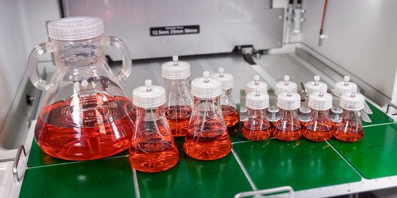 og-special-sample-action