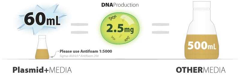 DNA production