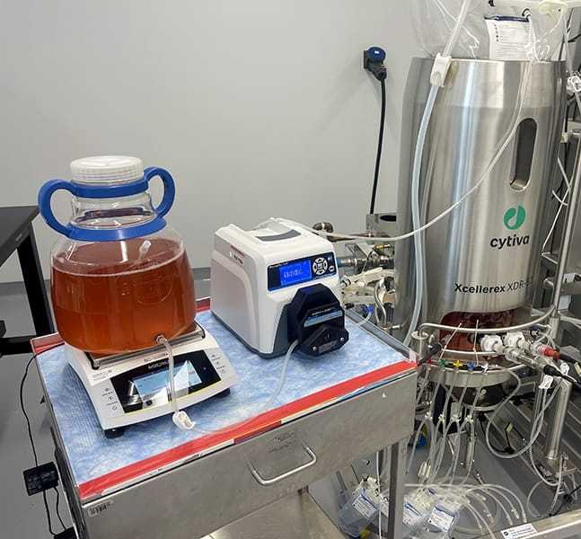 bioreactor