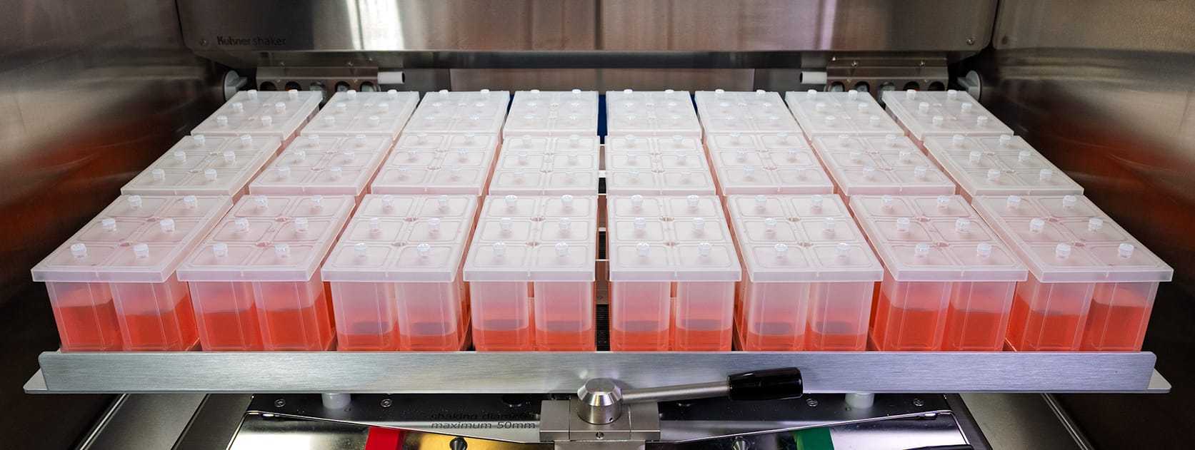 Kuhner™ Spring Tray