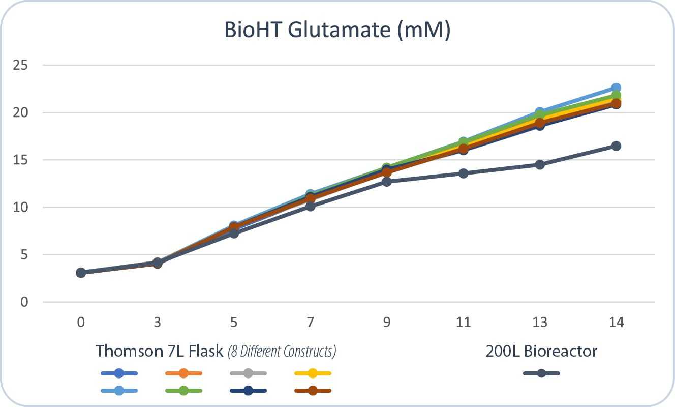 og-seven-lundbeck-07