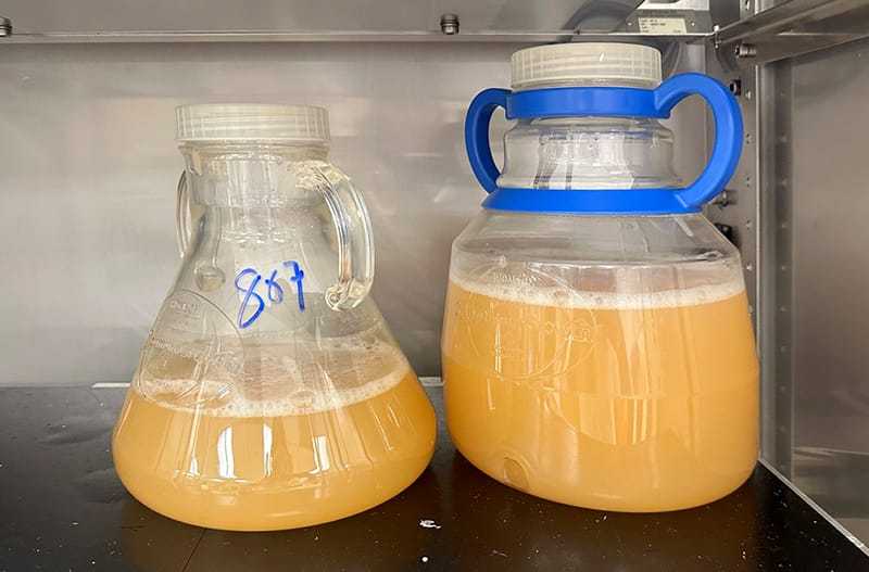 flasks